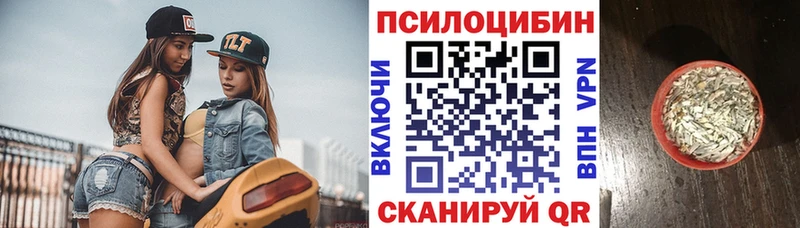 Купить закладки  Куса  Псилоцибиновые грибы ЛСД 